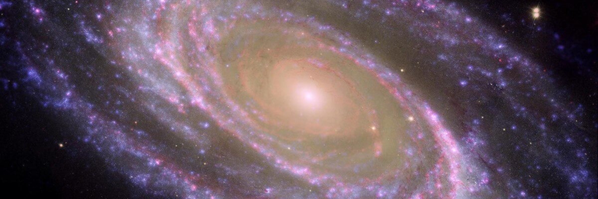 One Year Subscription